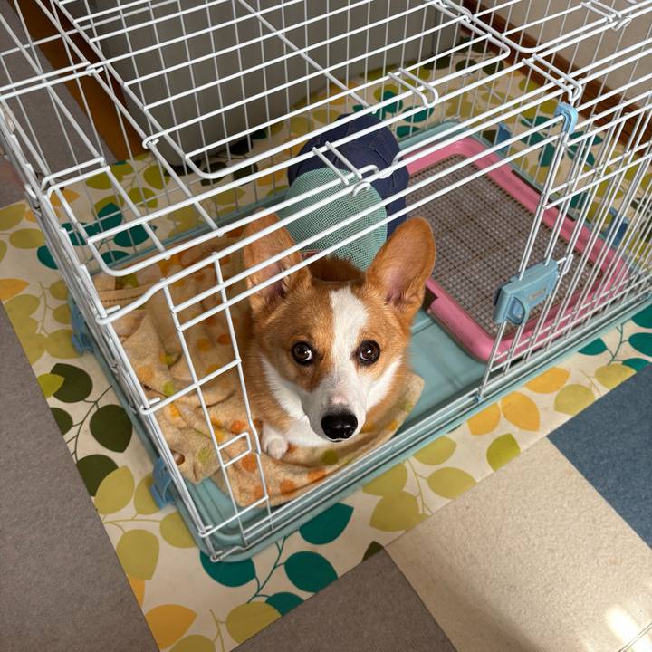 15c3ea71 a5f1 4687 ba11 d4663895a073 1758455099072