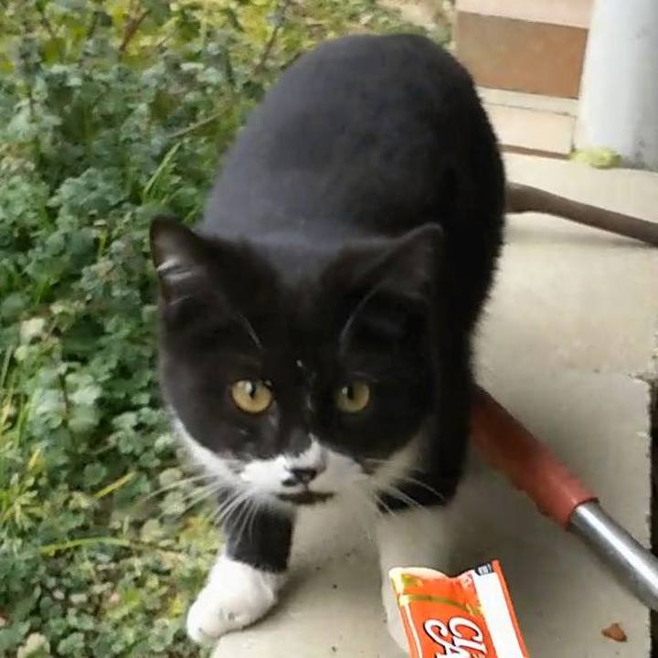 15c3f49b 3aaa 4db2 b9fa d684e520cefb 1549168660674