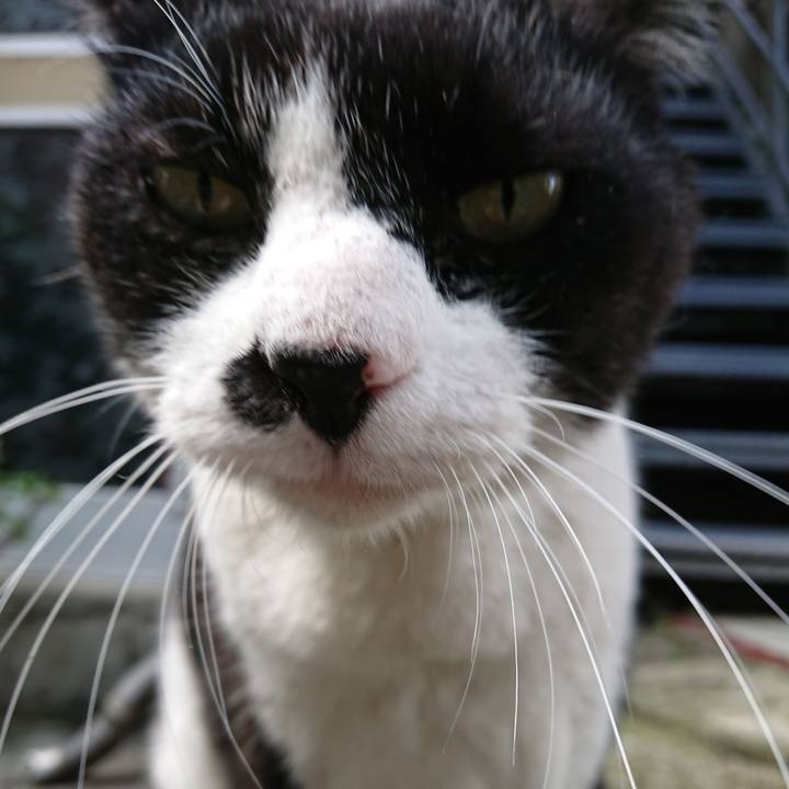 15c443f9 d651 4b03 83df 8cacbff2eeaa 1528171231866