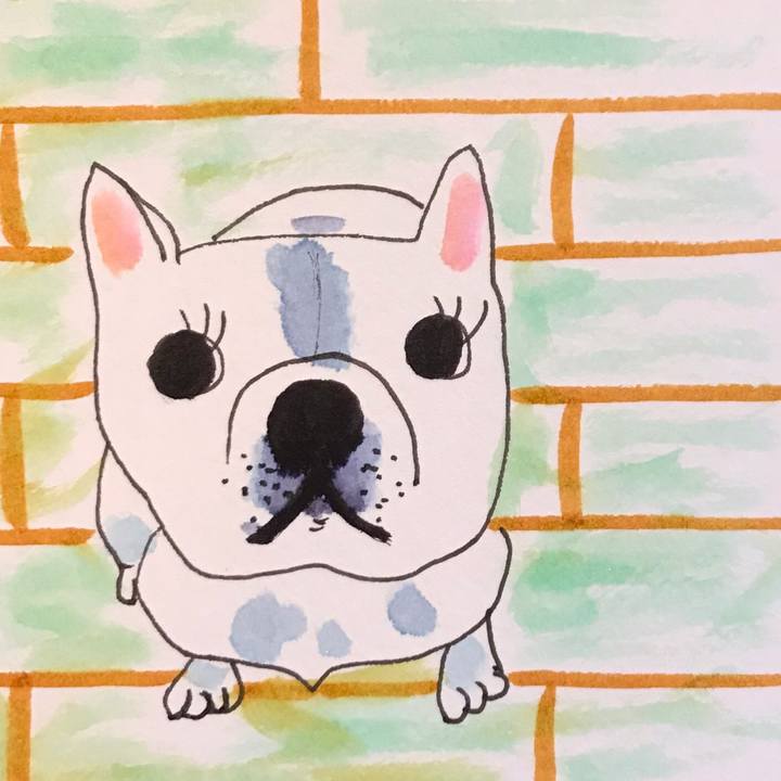 15c44c01 84e4 4a66 9430 e4fb6103234d 1555654251686