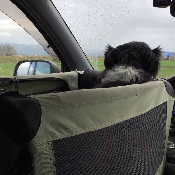 15c4be0b 4cdf 4915 a59a 9079d9fdf30d 1581906887824