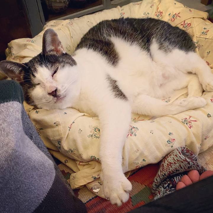 15c4e423 00b6 40b5 8a3c e2d74ca354bf 1607780274351