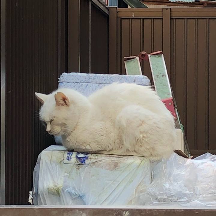 15c4e6c4 df63 4eb5 b557 a8d481e7ef85 1520751176334