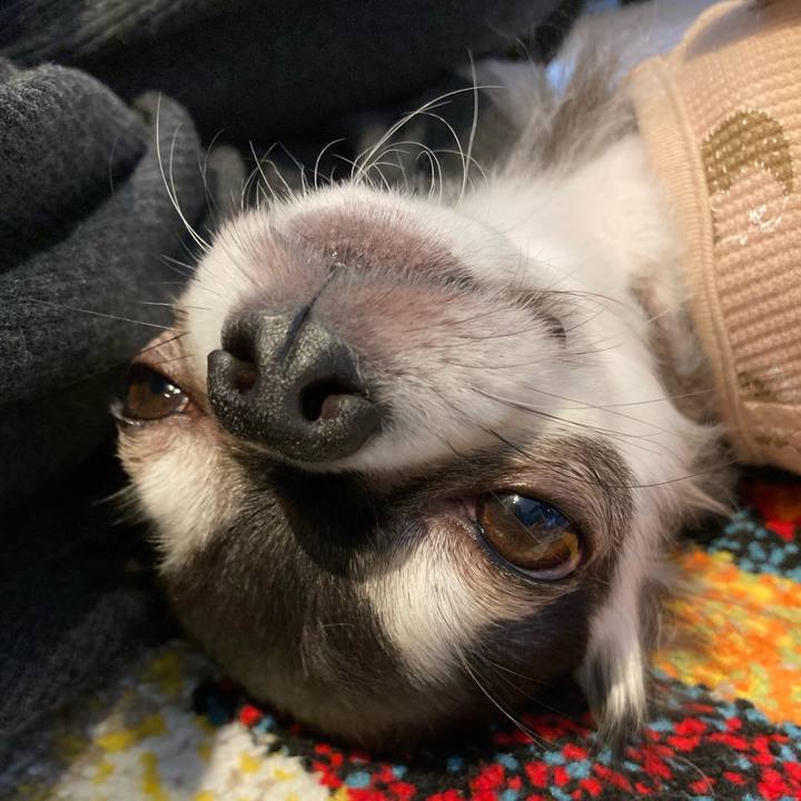 15c50c41 544e 46bb b63f febc1d33c266 1712485935936