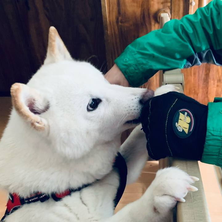 15c52685 8626 493b bca1 3381b1443410 1641270279963