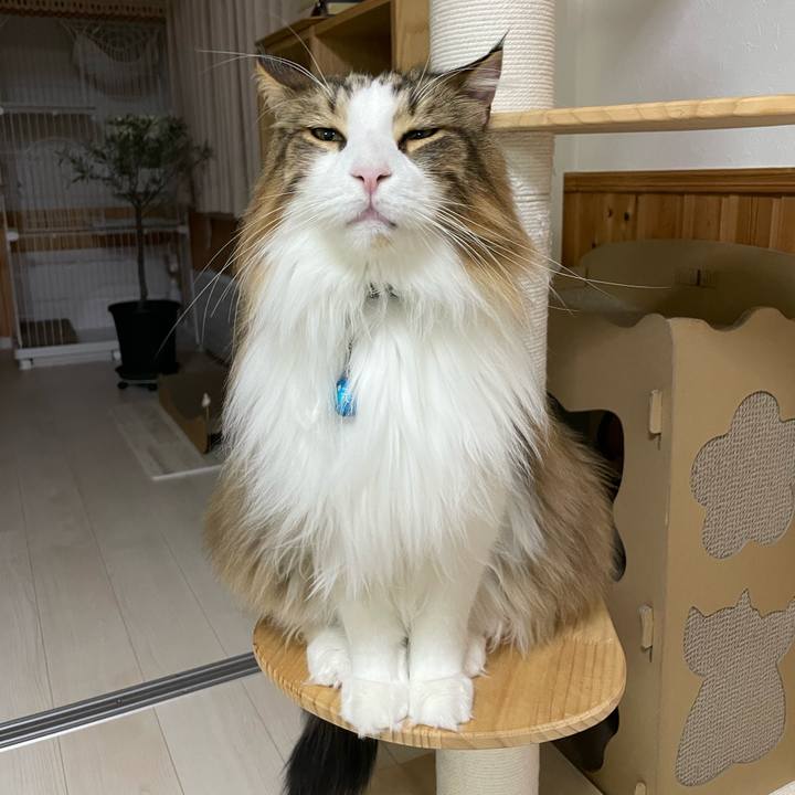 15c555b5 246a 40d1 a070 a39155a43de9 1709325293666