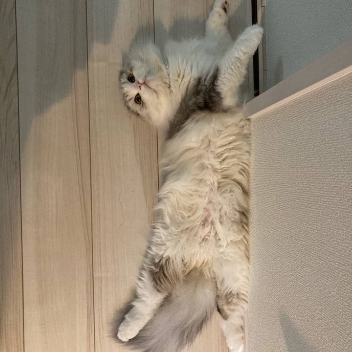 15c594d8 05a0 4837 a39c 92d697890c19 1625752061670