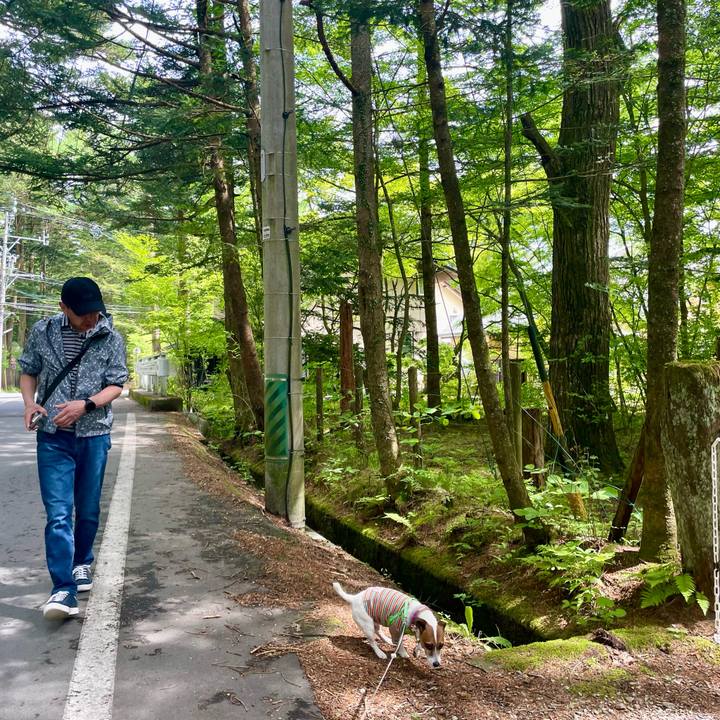 15c5bd29 f948 4250 b38b 4e8d371e0a4d 1747560861568