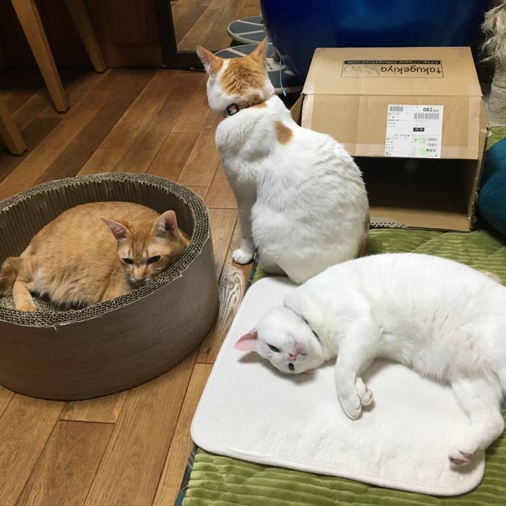 15c5d20f a827 42a0 a920 f0cae63fca8a 1542714554156