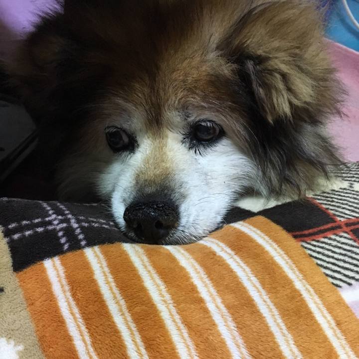 15c5e544 5587 4cdf 819f e22cae726a79 1558616278386