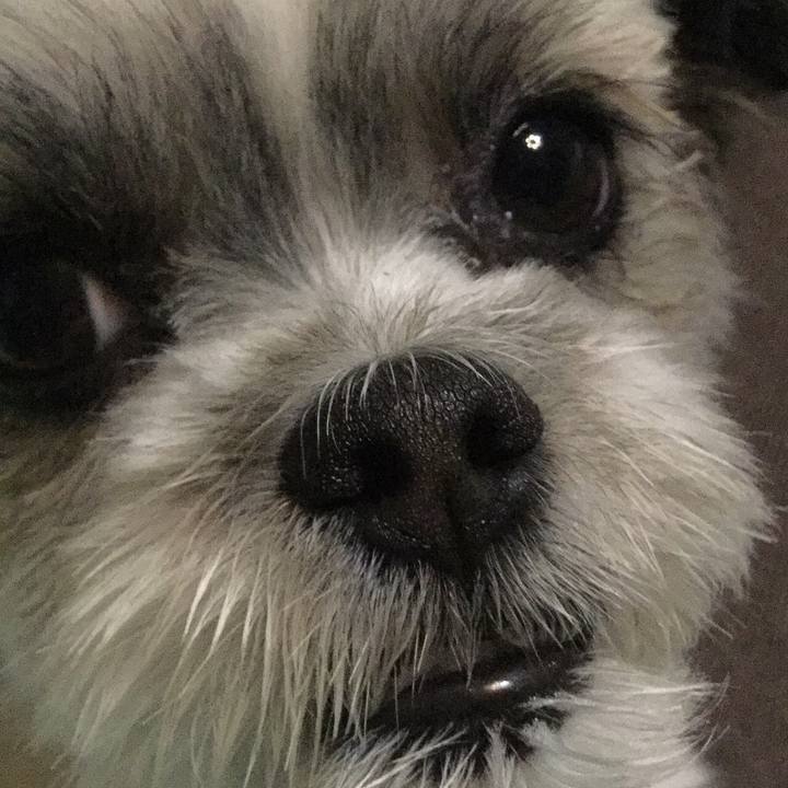 15c5ff27 bc74 47ba 894d dccd3a181c42 1507839574173