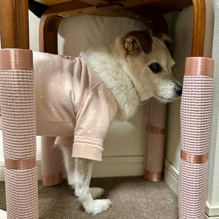 15c60ead 8a35 4b70 ba57 d246ac848f5b 1762852503271