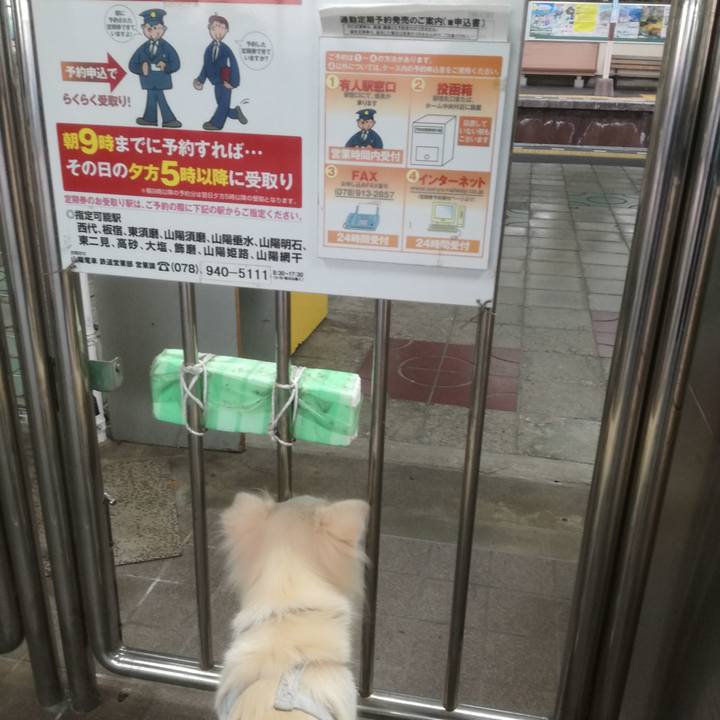 15c638bc 2114 4c54 aca3 6c236af988a3 1510563211400