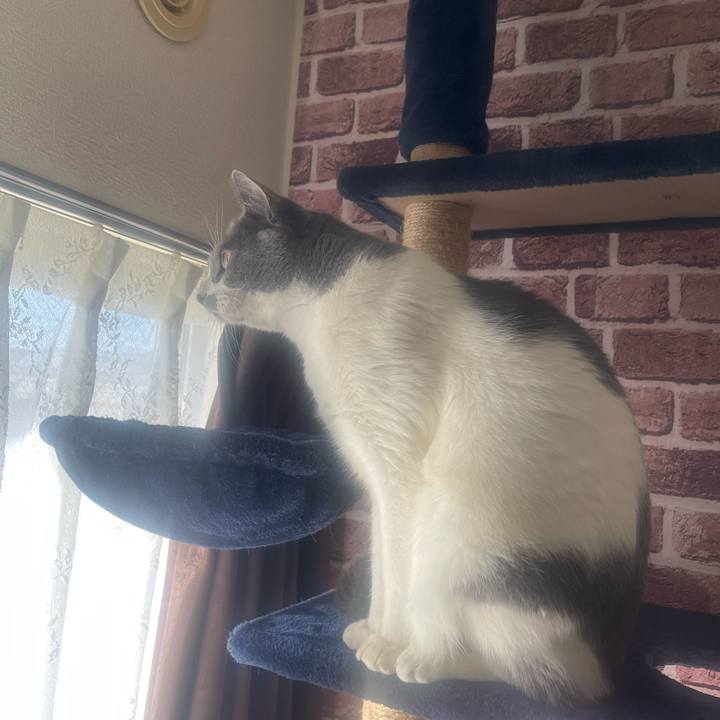 15c63c98 6d63 4548 80cc 213347584270 1707266385432