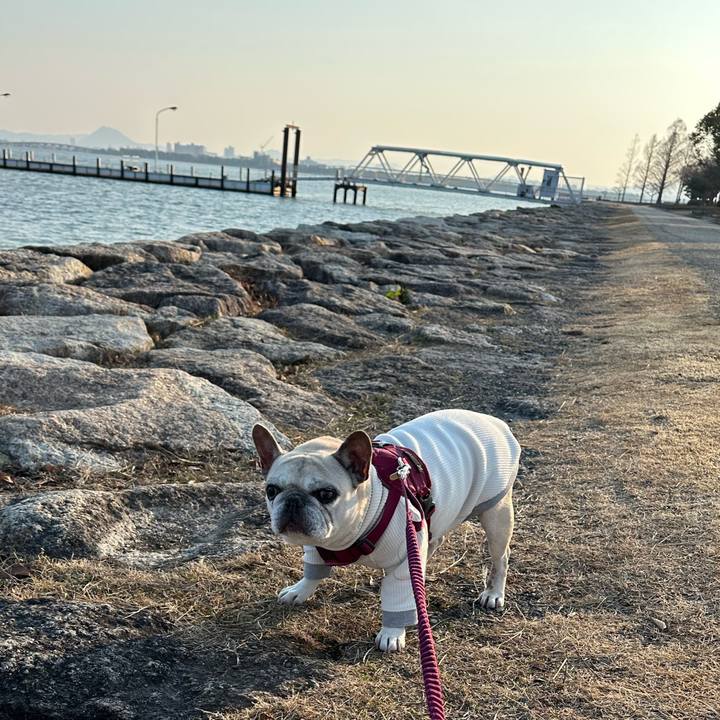 15c63d22 e9d1 4b15 9cab 1da1fd7cb84f 1769219569965