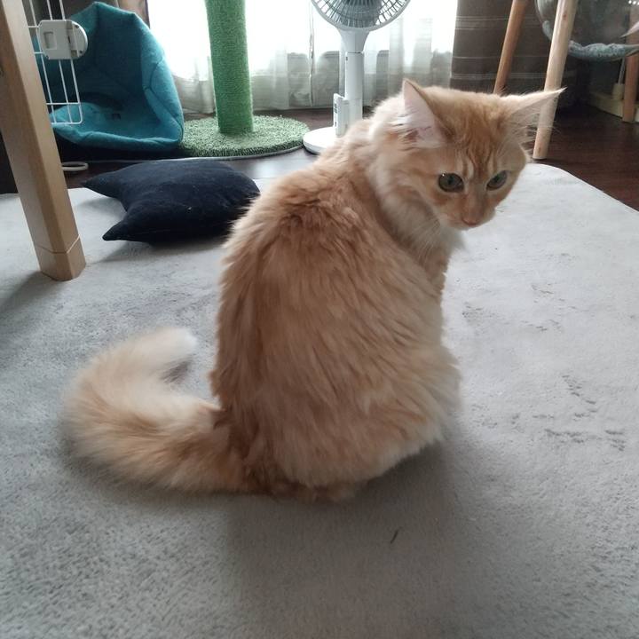 15c64595 55ed 455f 93f3 9fa2d83a4e1c 1629506903547