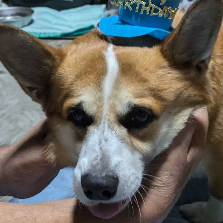 15c674eb 4856 4527 a793 f1e1d372dd7e 1723516324869