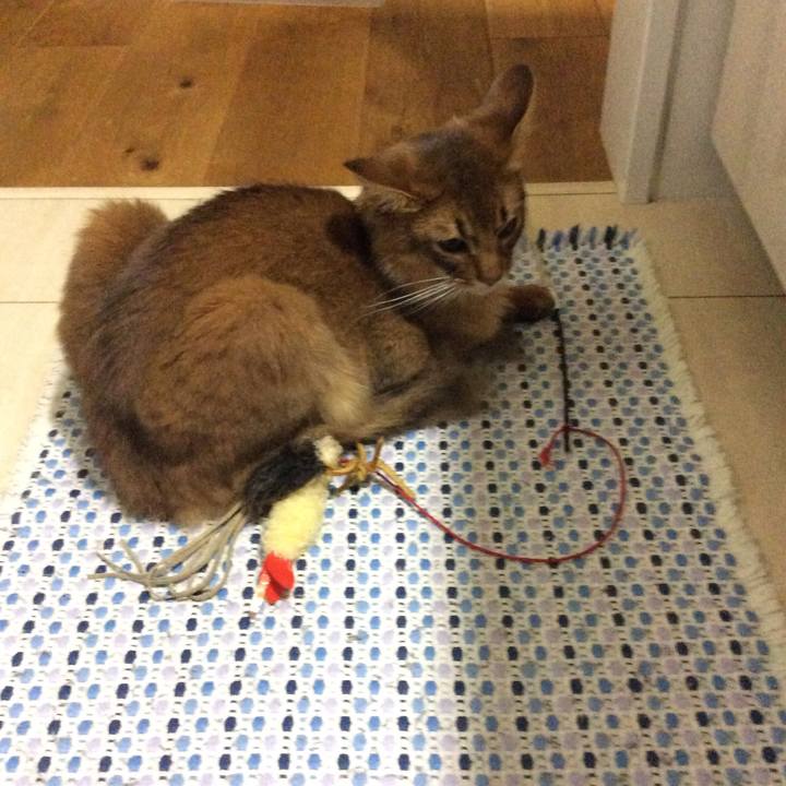 15c6a491 0d4b 4701 9e7c 74529e783803 1588425100910