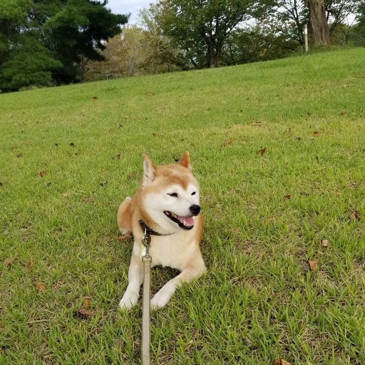 15c6eb4c 8206 4158 8db7 75cb9c6b2fdd 1663402083721