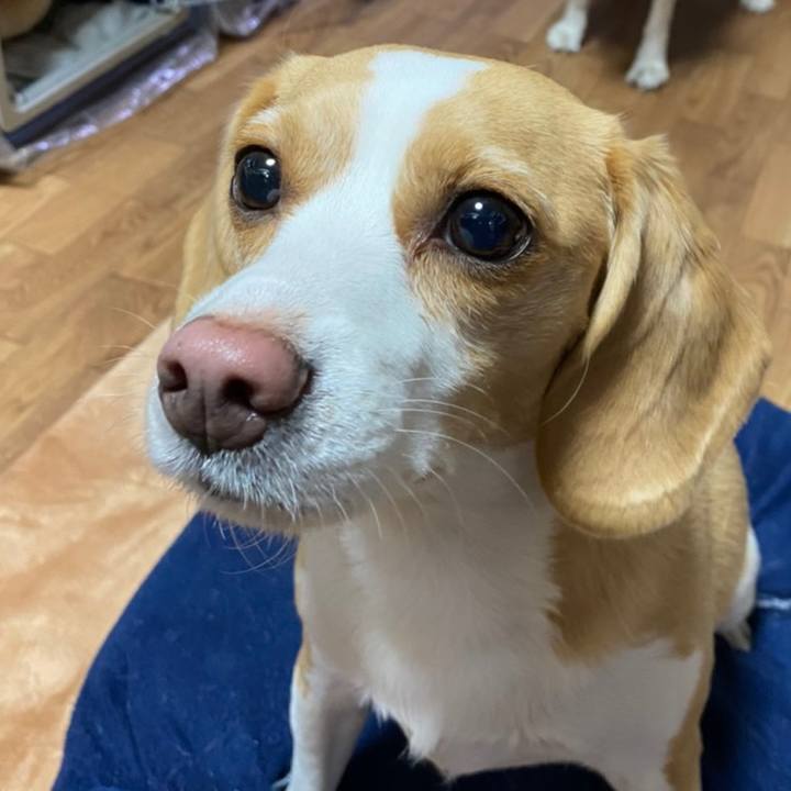 15c6ff65 cf68 4b19 8cac d3de3d2d8f77 1607945336609