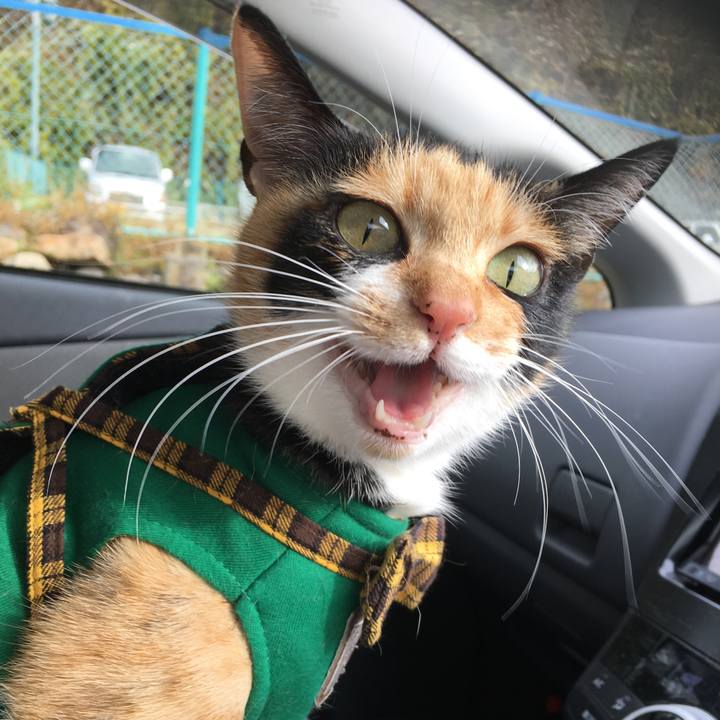 15c7336d 9fa2 4b43 a3f2 e883cb60d67f 1511139350392