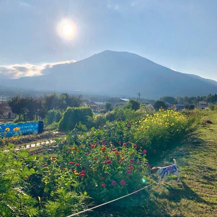 15c7659a 0c98 4d4d bd1e 2d7e4f4ca2db 1568370570626