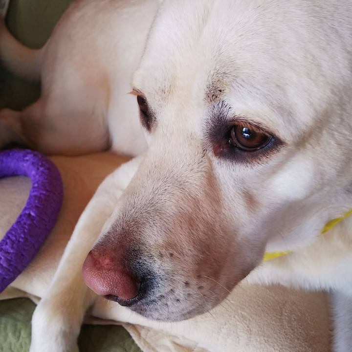 15c78384 0b13 4404 819d bd0803903368 1515554813172