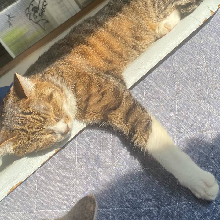 15c7856e 3c8b 40fe 9846 4836f4081a63 1701567083127