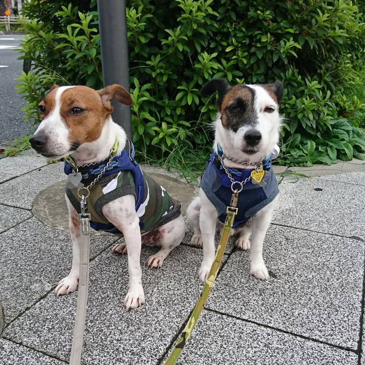 15c791a3 ba37 4621 aad2 6749ec501d41 1563921281714