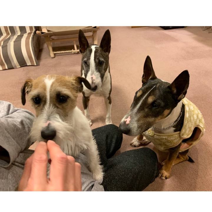 15c7c67e b2a9 4b24 abcb 1b7f452e99e1 1584452647901