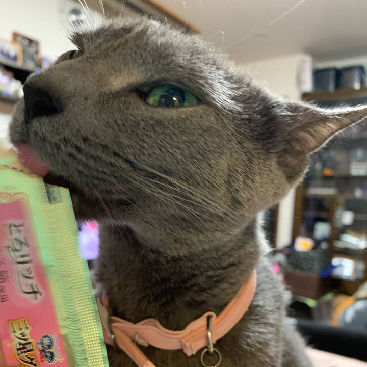 15c7d473 3ba8 4686 841b 3f9f7b7bdd47 1588762051212