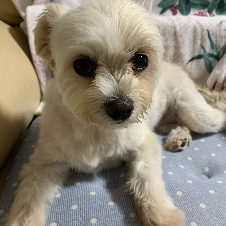 15c801ca df5a 42ce 867b ce49b1d253e9 1597323379195