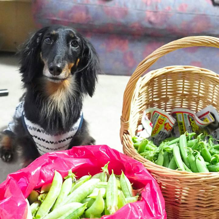 15c80501 83c2 41e0 96c6 4c96903ba7eb 1589091933601