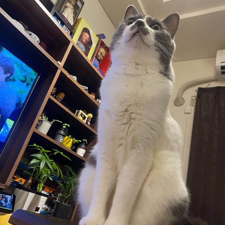 15c806b7 fabb 428d a7c1 4bbfb604b4c1 1754650732935