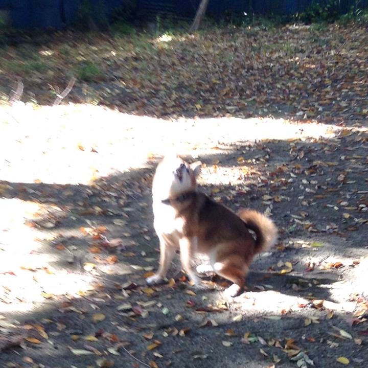 15c81d46 6aa0 4019 acad c2b2e9020135 1509760632114