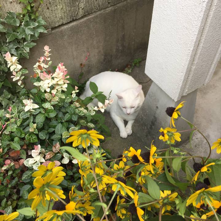 15c88886 7012 44a7 862a ff95310b7472 1534317092159