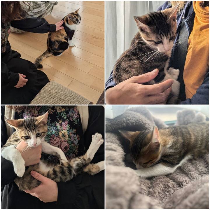 15c89f37 cbbf 440f 8de2 69c8d93d7f6c 1731310876162