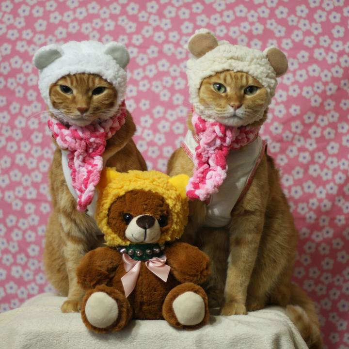 15c8a870 c9a2 4548 9749 995387b8fc76 1516024960729