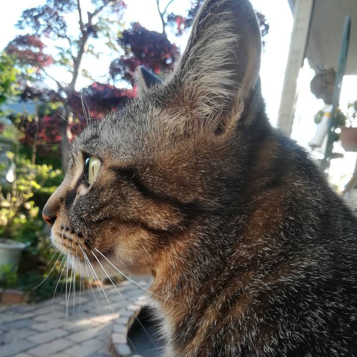 15c8c627 8b50 4228 844b e409e50282ac 1588150067070