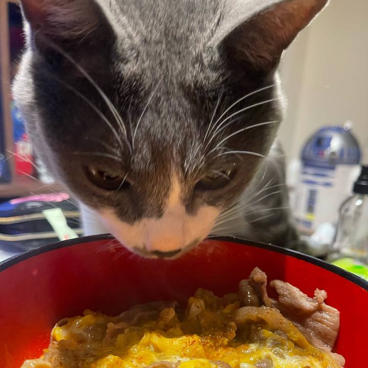 15c8f4a5 7b0e 4cb2 a71d 696940aff702 1647343705259