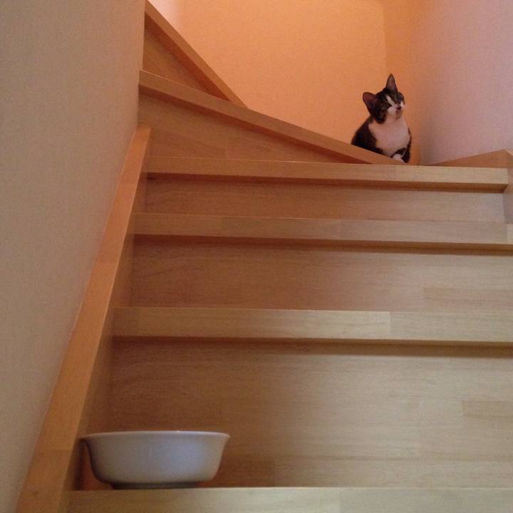 15c90e12 4649 42e8 a0af bdfbfa204f76 1508143420161