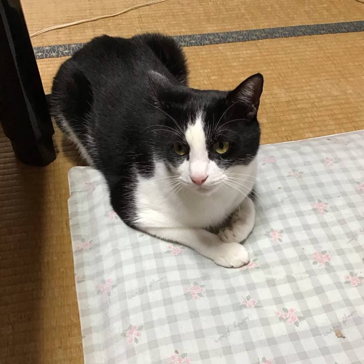 15c9106e 8d3e 4810 9c3a 78367d185a7c 1720329574036