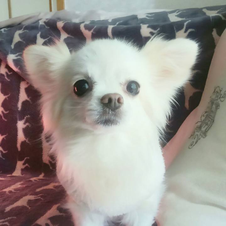 15c922f8 10de 48f0 b2ad c85acc3e23d8 1510379946121