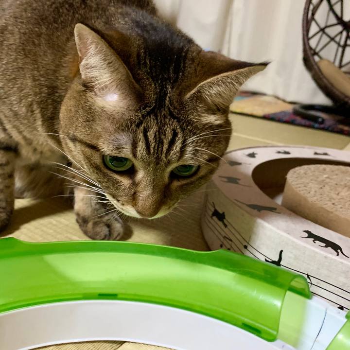 15c96205 ed07 482b bdff 5d8cdad3c0df 1572142634206