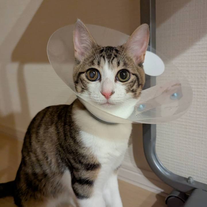 15c963b1 2fca 40f7 b05c 34db45ca9cd2 1737872562819