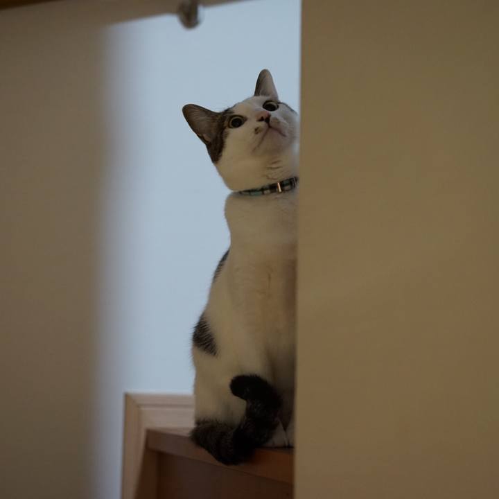 15c984f8 b9e4 430a 9e1e 4170b325a439 1547681425289