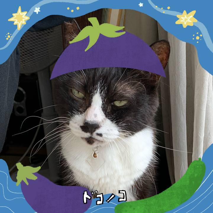 15c996d4 3941 4f01 b125 536f0839292c 1755306634094