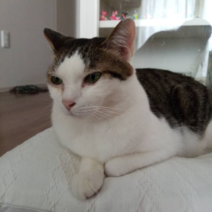 15c9f327 ac69 4425 bc04 9feb007d98ee 1558301848692