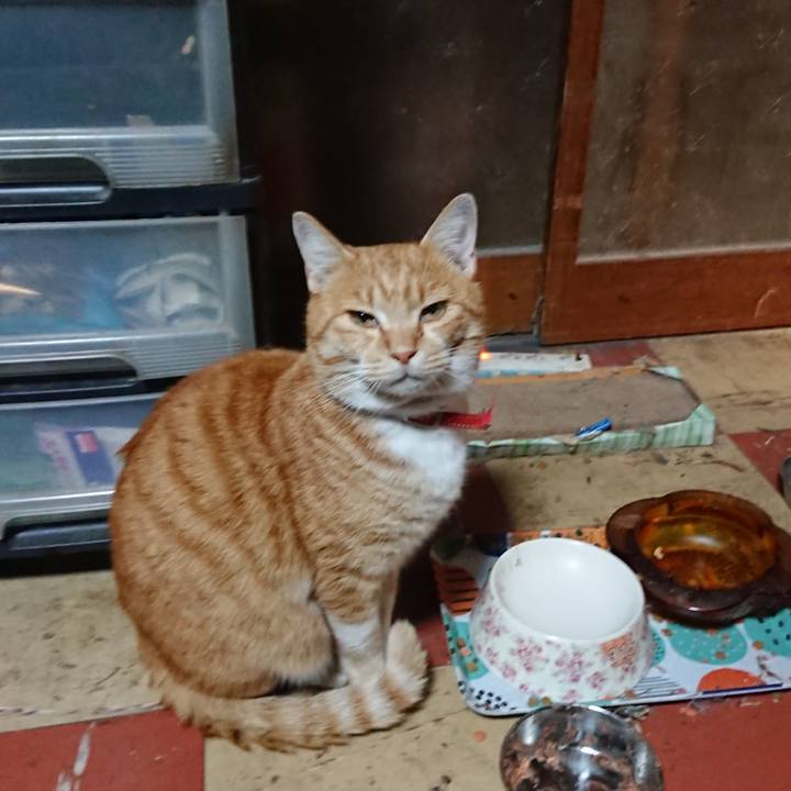 15ca16ad 9cdb 46f5 8156 24d6fad67606 1574327257402