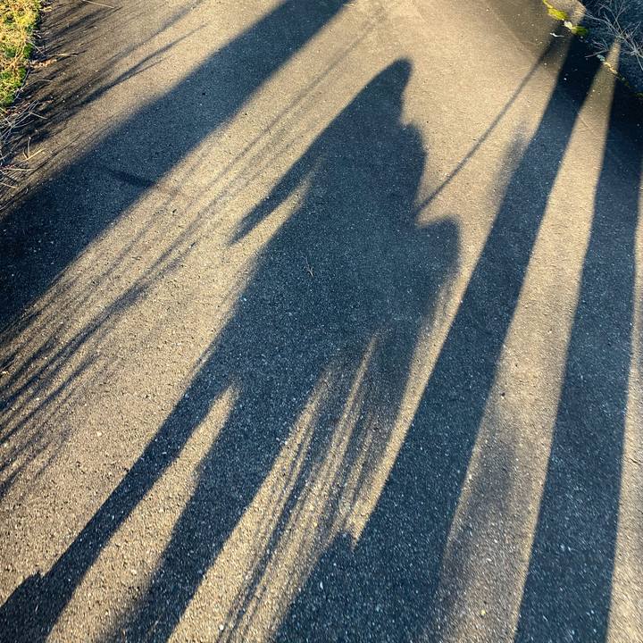 15ca17e4 5c7c 4c92 95a2 bc9e99196a3d 1574491701399